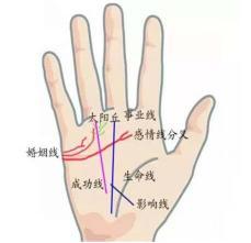一、 手掌软绵且颜色红润：福气与事业的双重显化