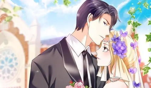 《契约婚姻总裁宠上瘾：北宫沧北宫辰穆玥璃》小说的名字是什么？