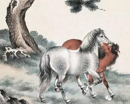 2026年属马女性感情运势如何，会有哪些变化和机遇？