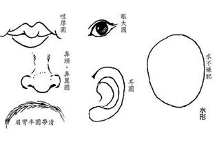 3. 乐观型——圆锥掌