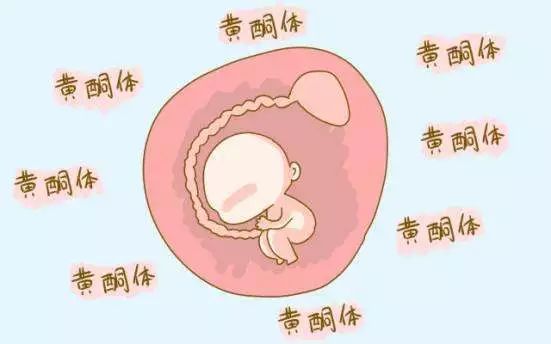 误区一：“只要我的黄体基因强较大壮 , 我就一定能成功受精并怀上宝宝。”