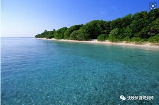 在海中游泳：成功的征兆