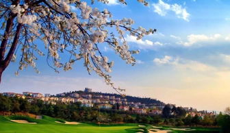 这些地方不去后悔一辈子！