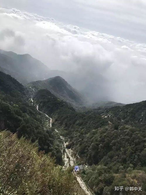 东岳泰山：人从众的壮观场面 让你怀疑人生