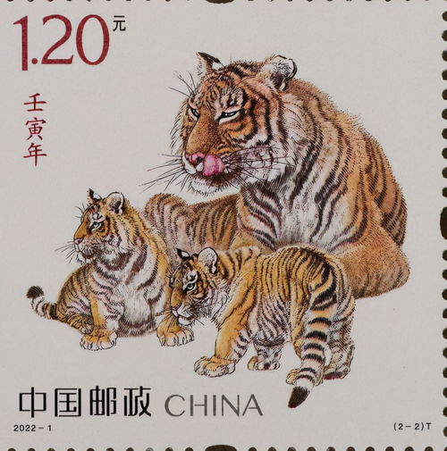 属虎女孩“缺火”的表现（纯属个人观察！）