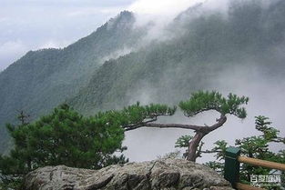 天目山旅游攻略分享达人有哪些推荐？（真的别再问了！）