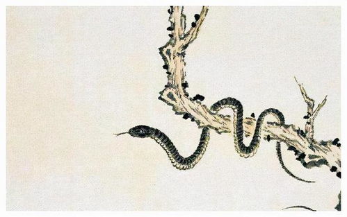 2026年属蛇女性运势中，招财吉祥物佩戴具体是什么物品？