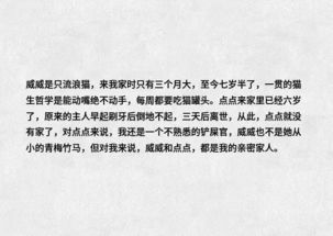 一、 探究背景与问题定义