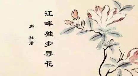 先说这个“李”字