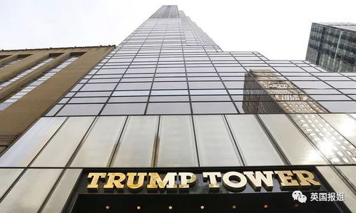 一、 香港风水学的社会渗透与权威人物概述