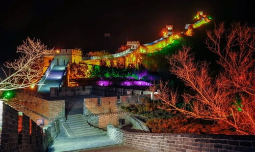 深圳：艺术体操的视觉盛宴