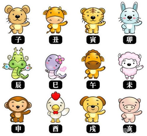 十二生肖夫妻最佳搭配有哪些？