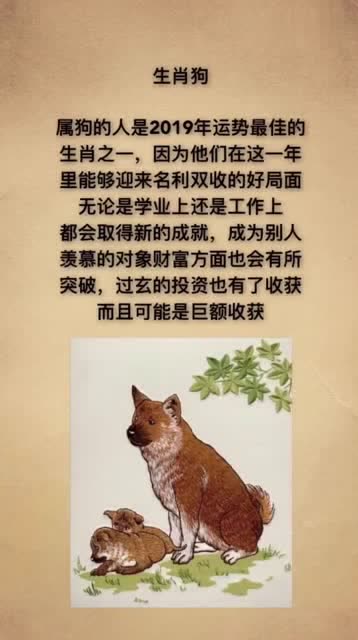 狼子野心与哪个生肖最为契合，其生肖寓意有何深意？