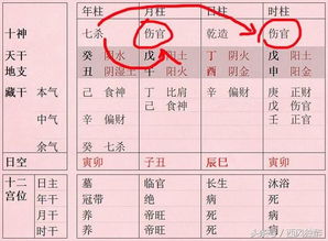 宋国元八字命理基础知识如何应用于实际算命？