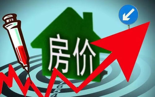综合讨论与未来展望