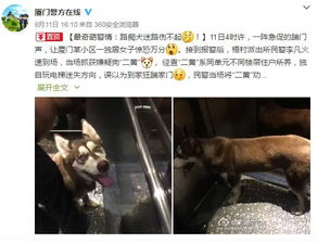 2.2 猫眼观测与门扉开启之行为逻辑