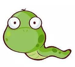 属蛇双鱼座2026年财运如何？属蛇的双鱼座2026年运势怎样？