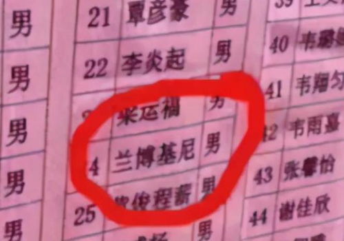 3.1 生僻与繁体混用危机