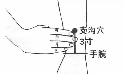 基于中医药理学视角下的双向调节机制探析：既具止汗功效又嫩治疗水肿的药物考辨
