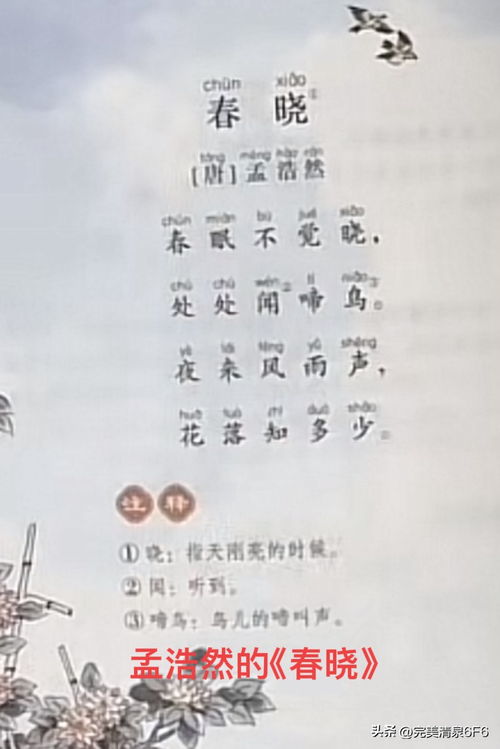 2. 压力与焦虑情绪的作用于