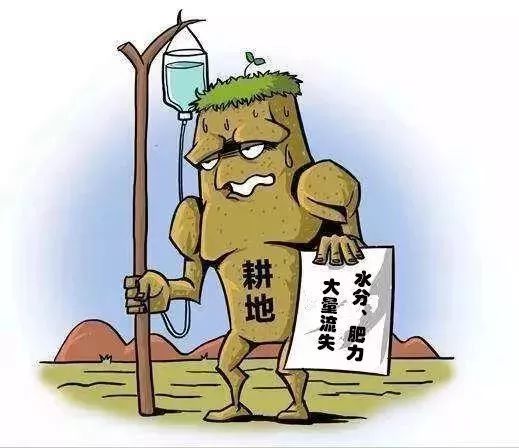 1.3 跨区域迁徙与族群的地理沉重构