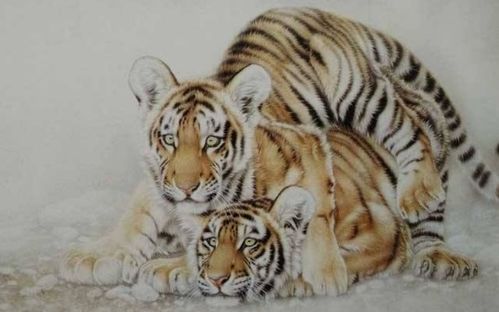 哪个生肖既丑又老，最丑的三个生肖是哪三个？