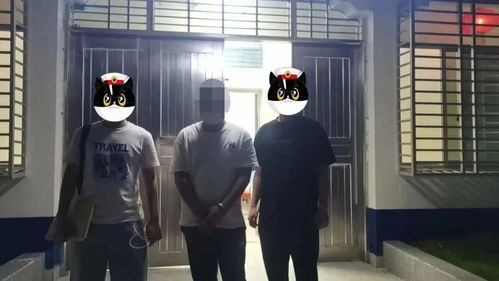 案件回溯：跨域违法犯罪链条中的技术手段中介角色