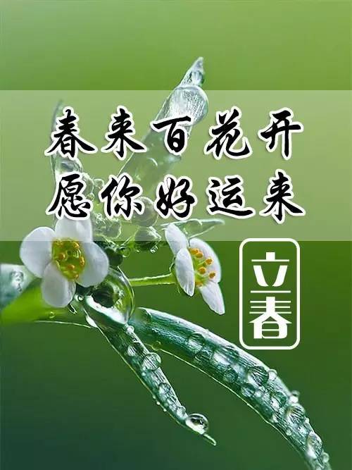 1.1 双春年的特殊性——以2025年为例