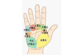 一、 掌丘概述：命运的微观图景