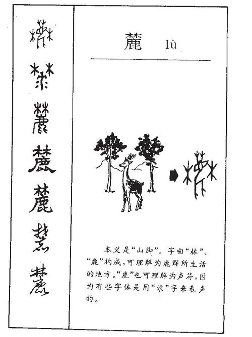 “麓”字之象征意义