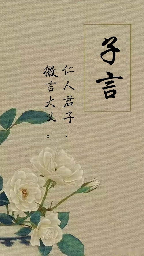 鹃字的历史小插曲（噪声版）