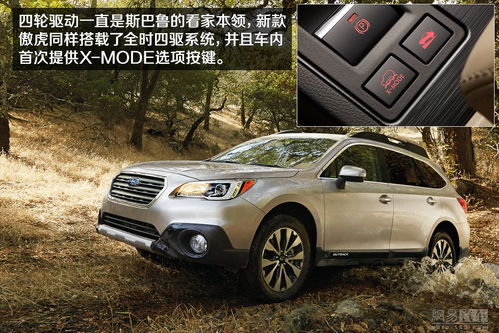 二月购车哪一天最吉利？属虎人购车最佳吉日是哪天？