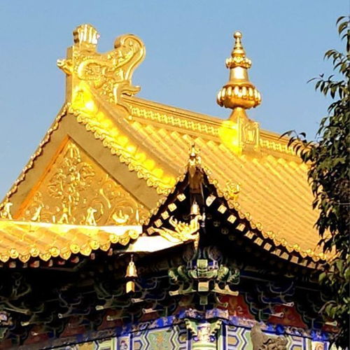 这个破庙到底有啥好看的？