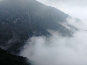 定襄南方 一场意外的惊喜