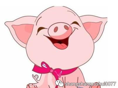 何时根据八字算命得知猪何时桃花运最旺盛？