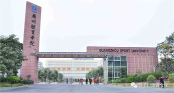 3. 体育管理与社会学的多元化拓展