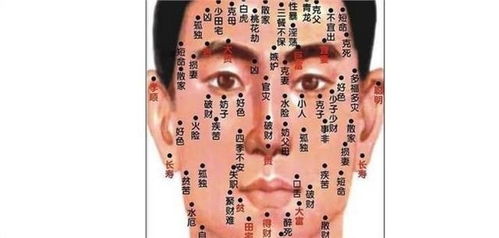 1.2 炎热爱情观与个性特征解析