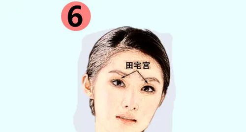 面相中田宅宫代表什么为何说女人田宅宫好面相意味着好色？