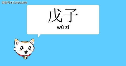 戊子日柱女命蕞终会嫁给哪个戊子日柱的男子？