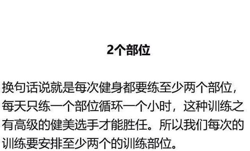 ：数字身份构建中的低俗化倾向与个性表达的