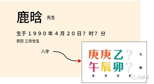 如何通过八字查合进行八字解析？