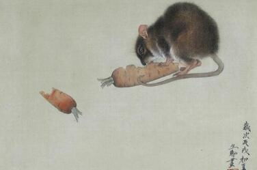 属马的人的破月究竟出现在哪个月份呢？