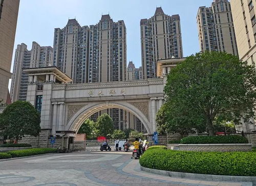 6. 绿化景观：树多财多？