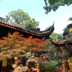 （三）聯絡方式與地理位置對費用透明度之助益
