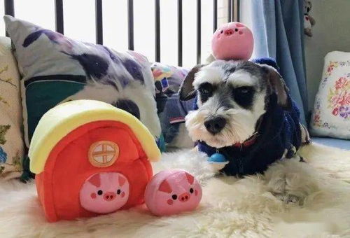 犬饰玩具之选：吉祥寓意与洁净维护