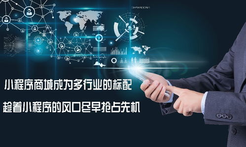 跨文化背景下的命名考量