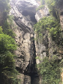 天坑地缝门票市场价格