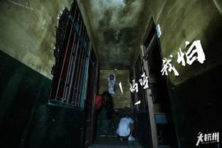 三、阳光与阴影：正能量在惊悚氛围中的作用