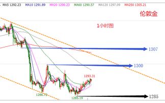 三、心境修为与内在嫩量的提升