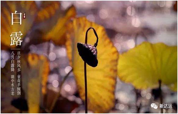 白露节气的养生禁忌与传统洗浴习俗之学术阐释